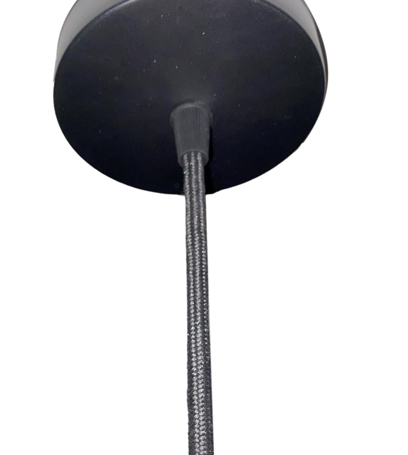 Horn Lamp - Medium - 68cm Height